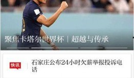 最新模块爆料新闻报道,科技革新背后的秘密与未来展望